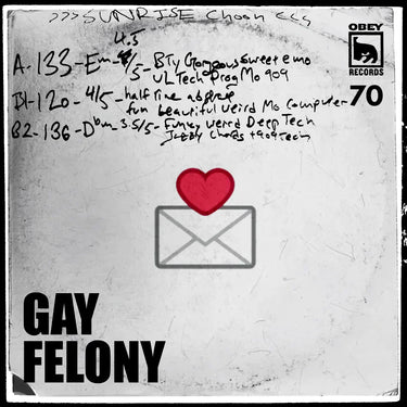 GAY FELONY