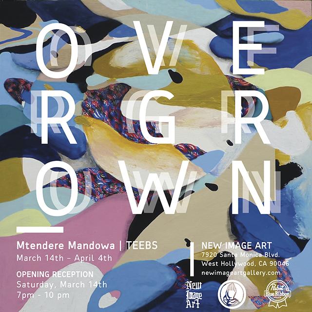 TEEBS & OVERGROWN & NEW IMAGE ART