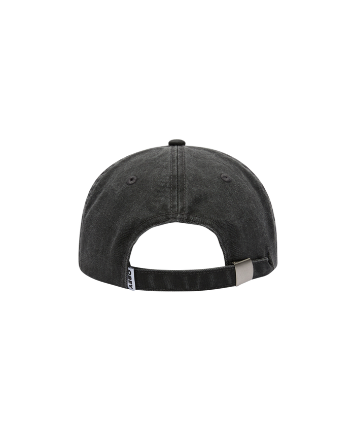 HALF ICON PIGMENT HAT