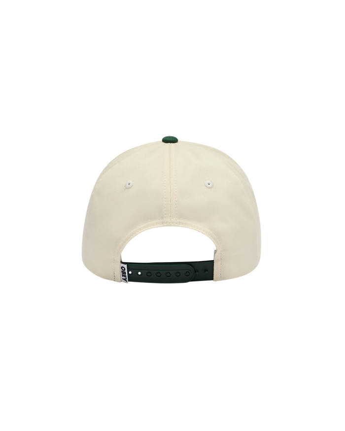 OBEY DELTA 5 PANEL SNAPBACK - SPRUCE MULTI