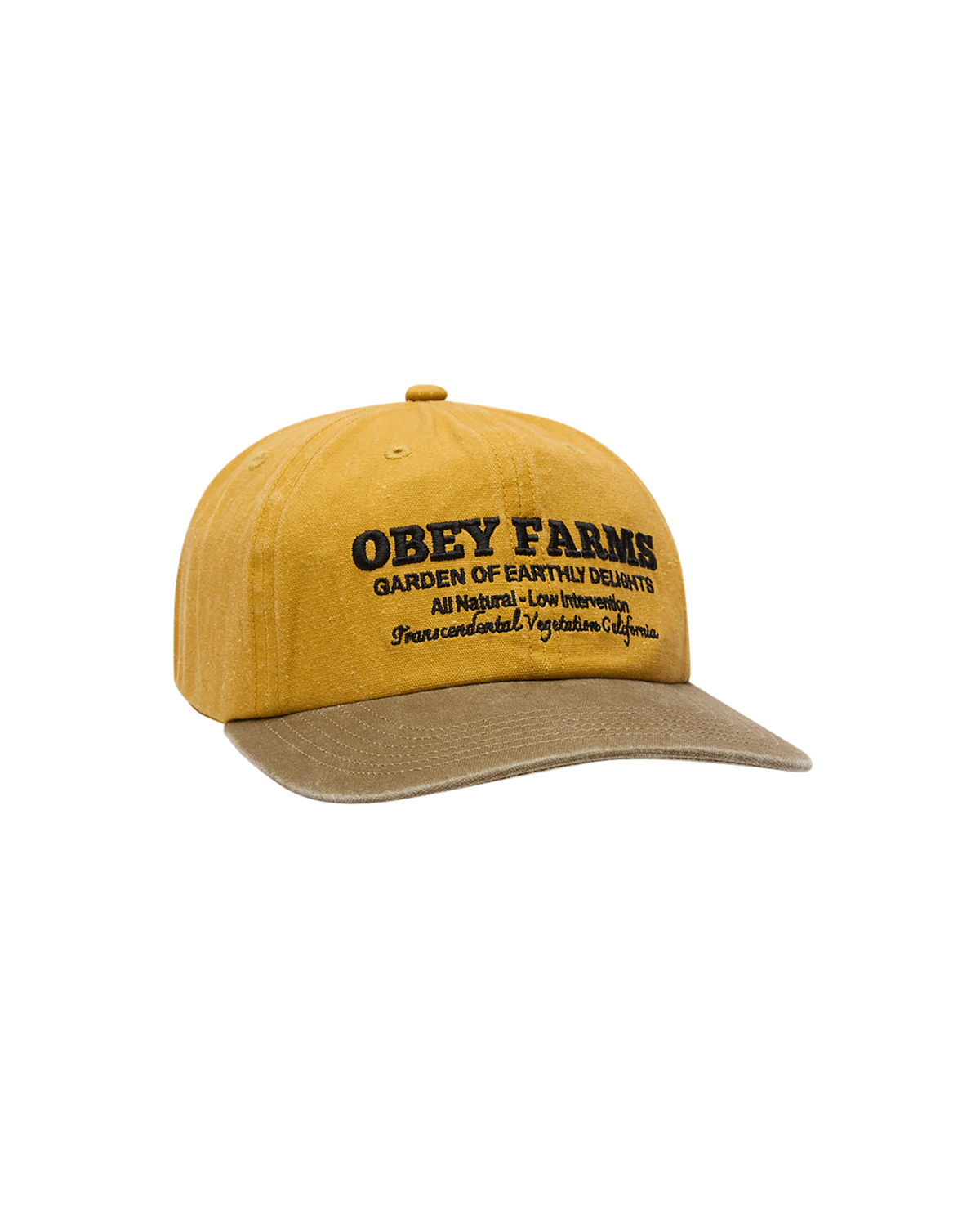 FARMS PIGMENT STRAPBACK
