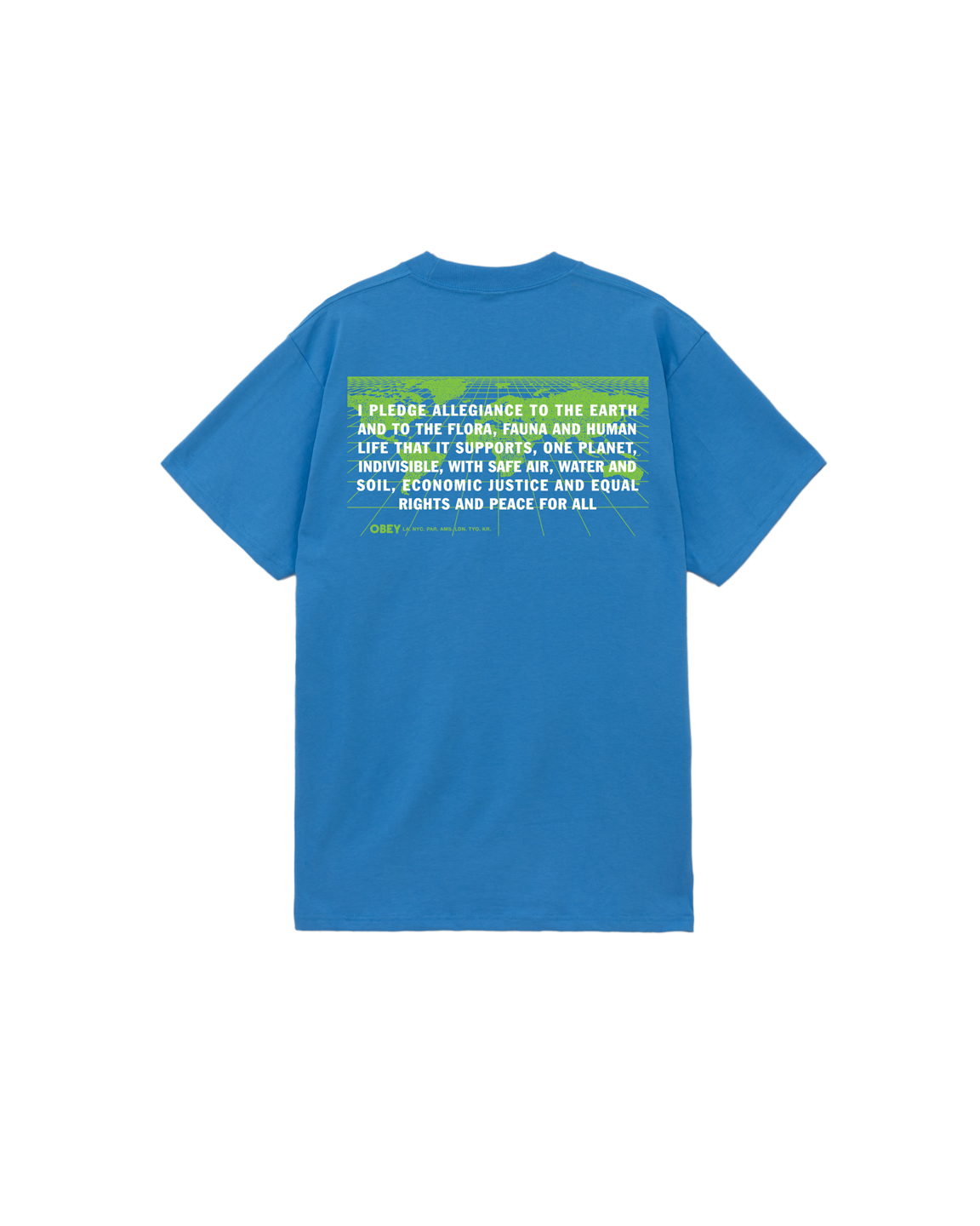 PLEDGE ALLEGIANCE CLASSIC T-SHIRT