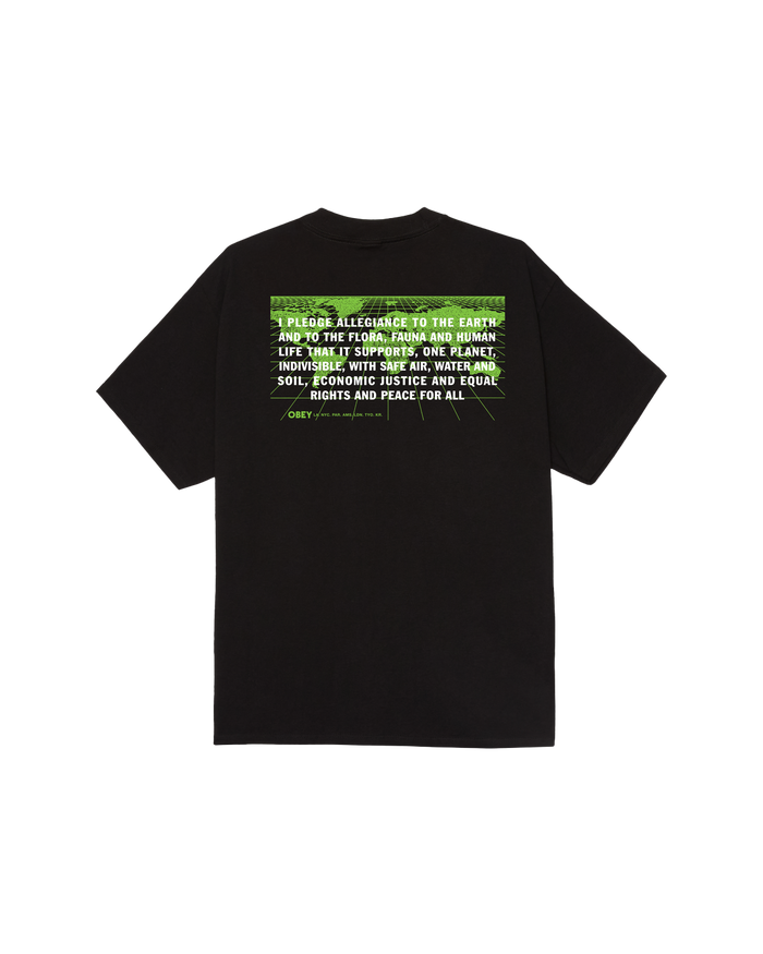 PLEDGE ALLEGIANCE CLASSIC T-SHIRT