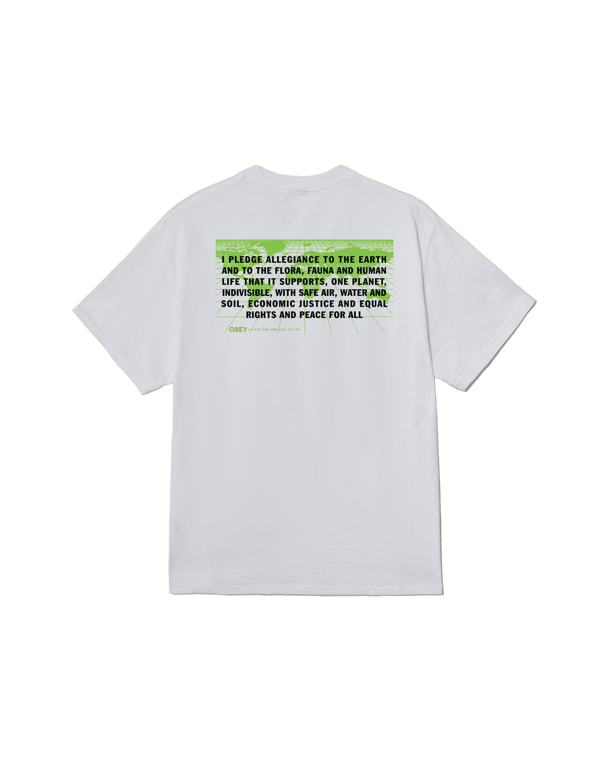 PLEDGE ALLEGIANCE CLASSIC T-SHIRT
