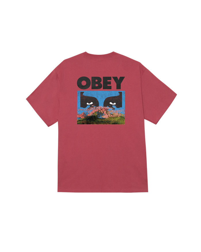 OBEY IN A DIFFERENT PLACE - MINERAL RED