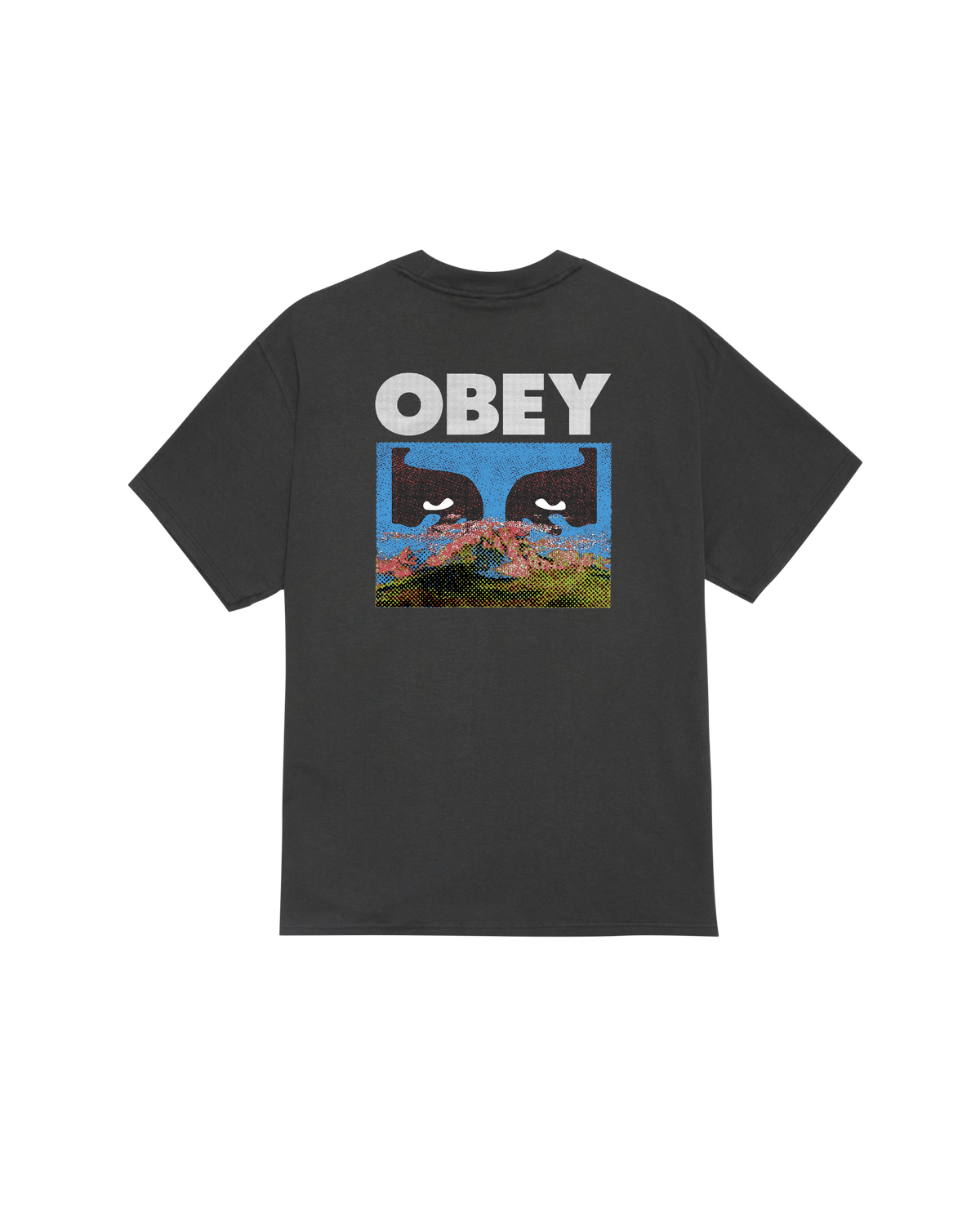 OBEY IN A DIFFERENT PLACE - VINTAGE BLACK