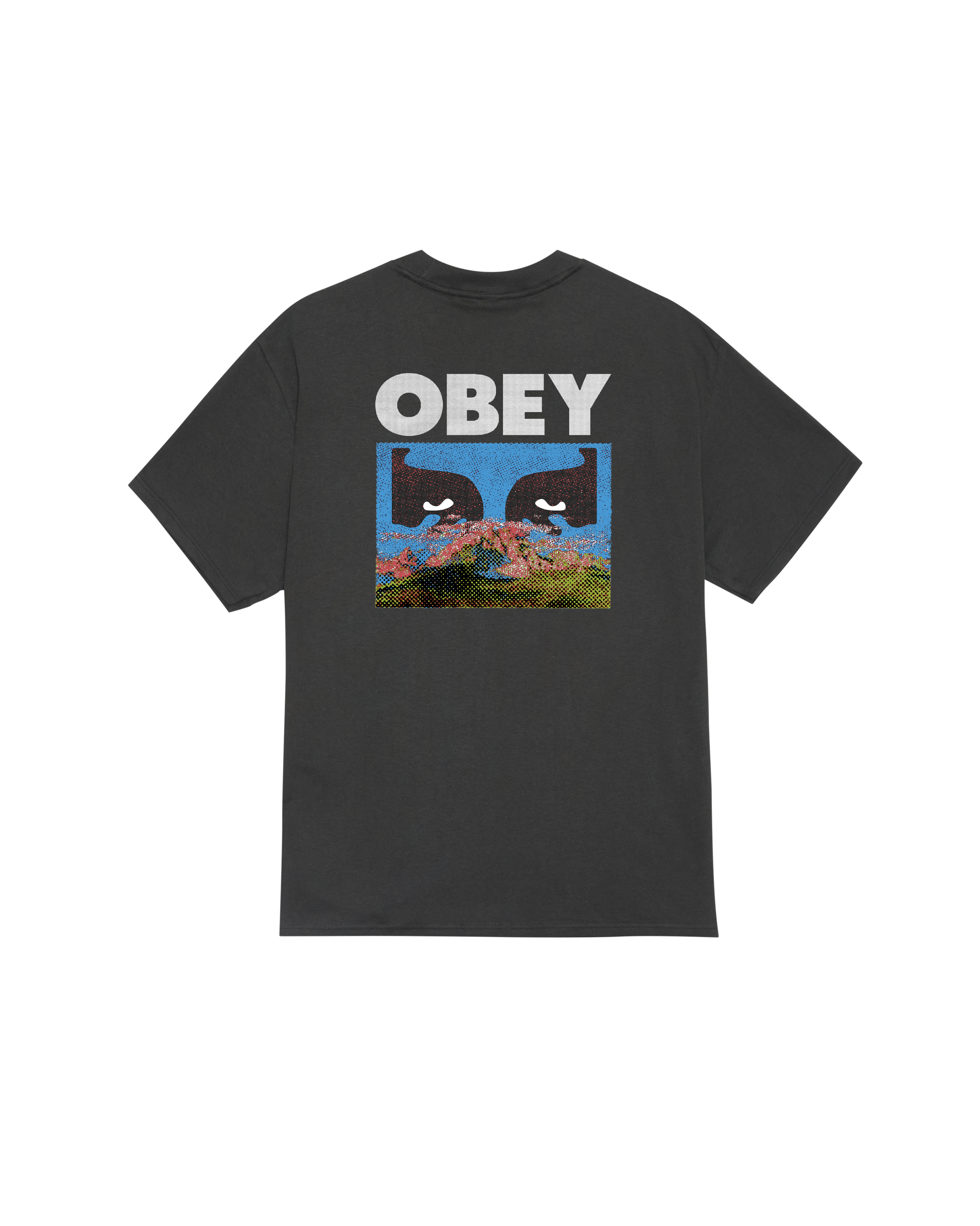 OBEY IN A DIFFERENT PLACE - VINTAGE BLACK