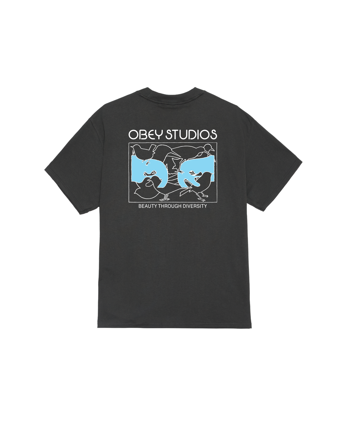 BEAUTY THROUGH DIVERSITY CLASSIC T-SHIRT - VINTAGE BLACK