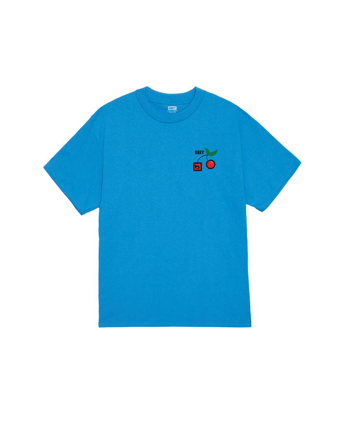 ALTERNATIVE LIFESTYLES CLASSIC T-SHIRT - AZURE BLUE