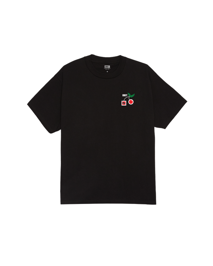 ALTERNATIVE LIFESTYLES CLASSIC T-SHIRT - BLACK