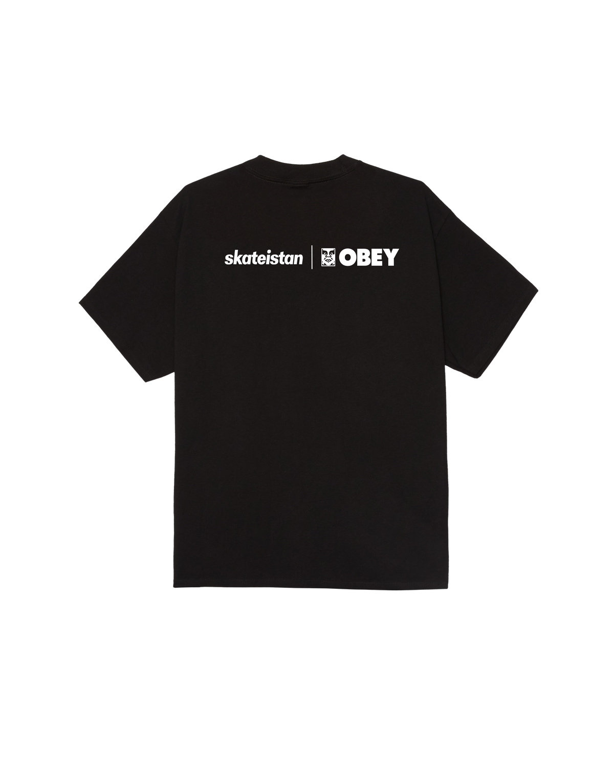 SKATEISTAN / CLASSIC T-SHIRT - BLACK