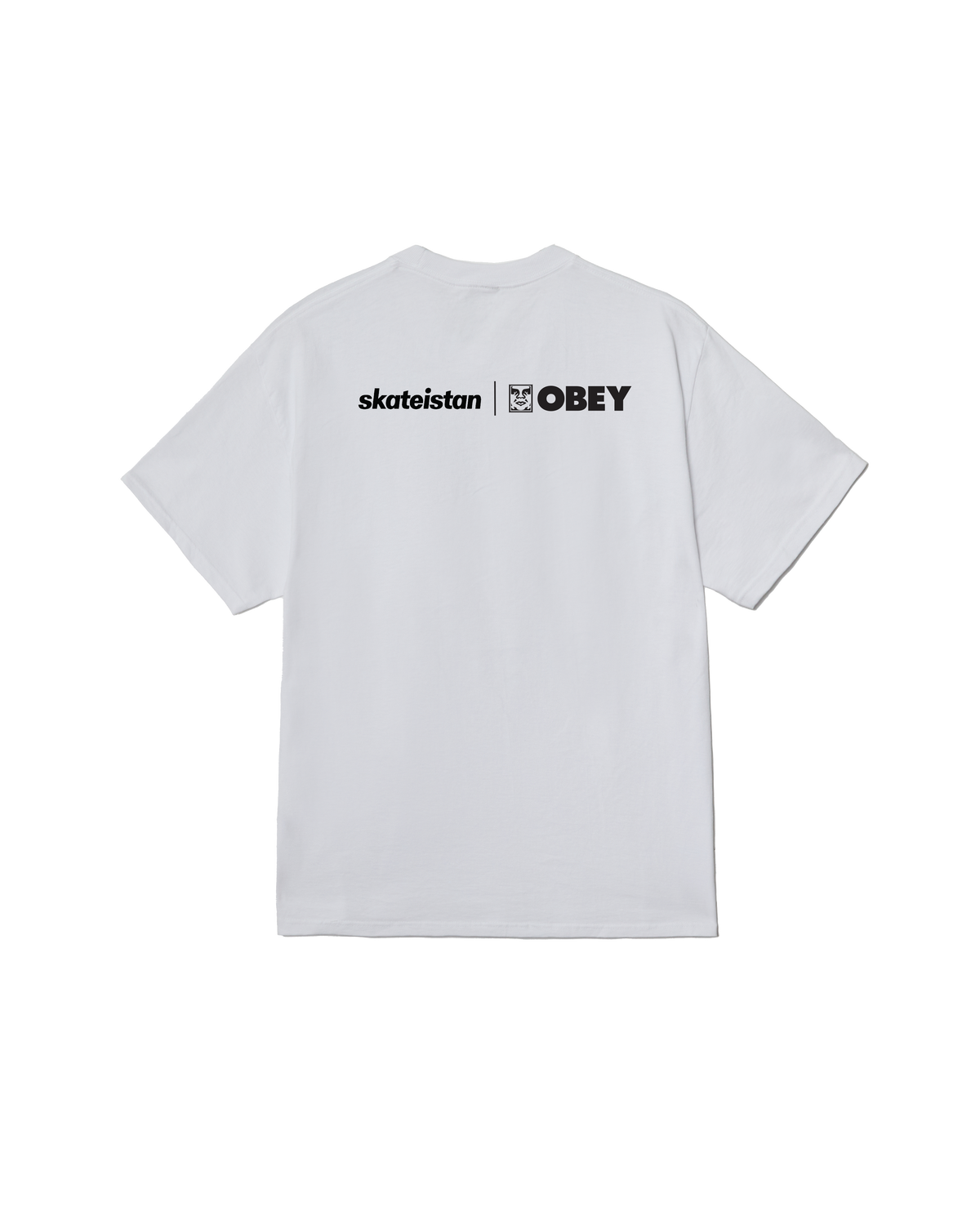 SKATEISTAN / PHOTO CLASSIC T-SHIRT - WHITE