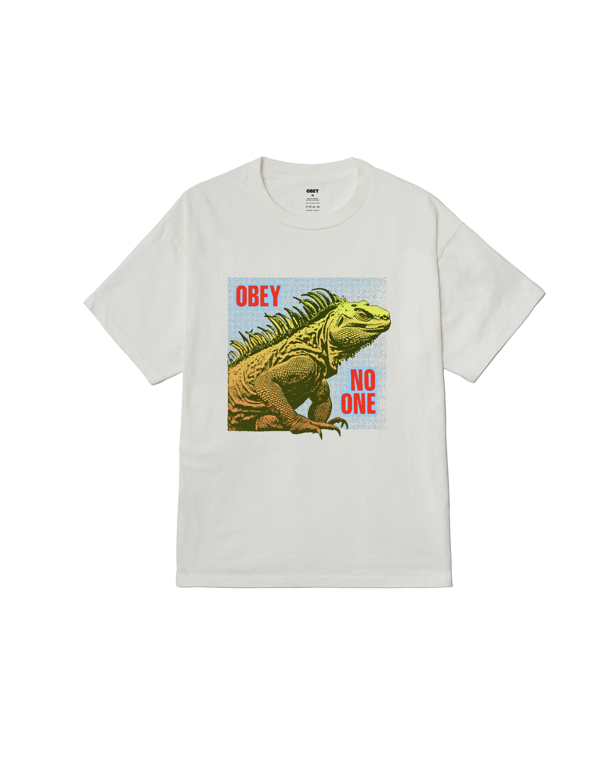 NO ONE REPTILE PIGMENT BOX T-SHIRT