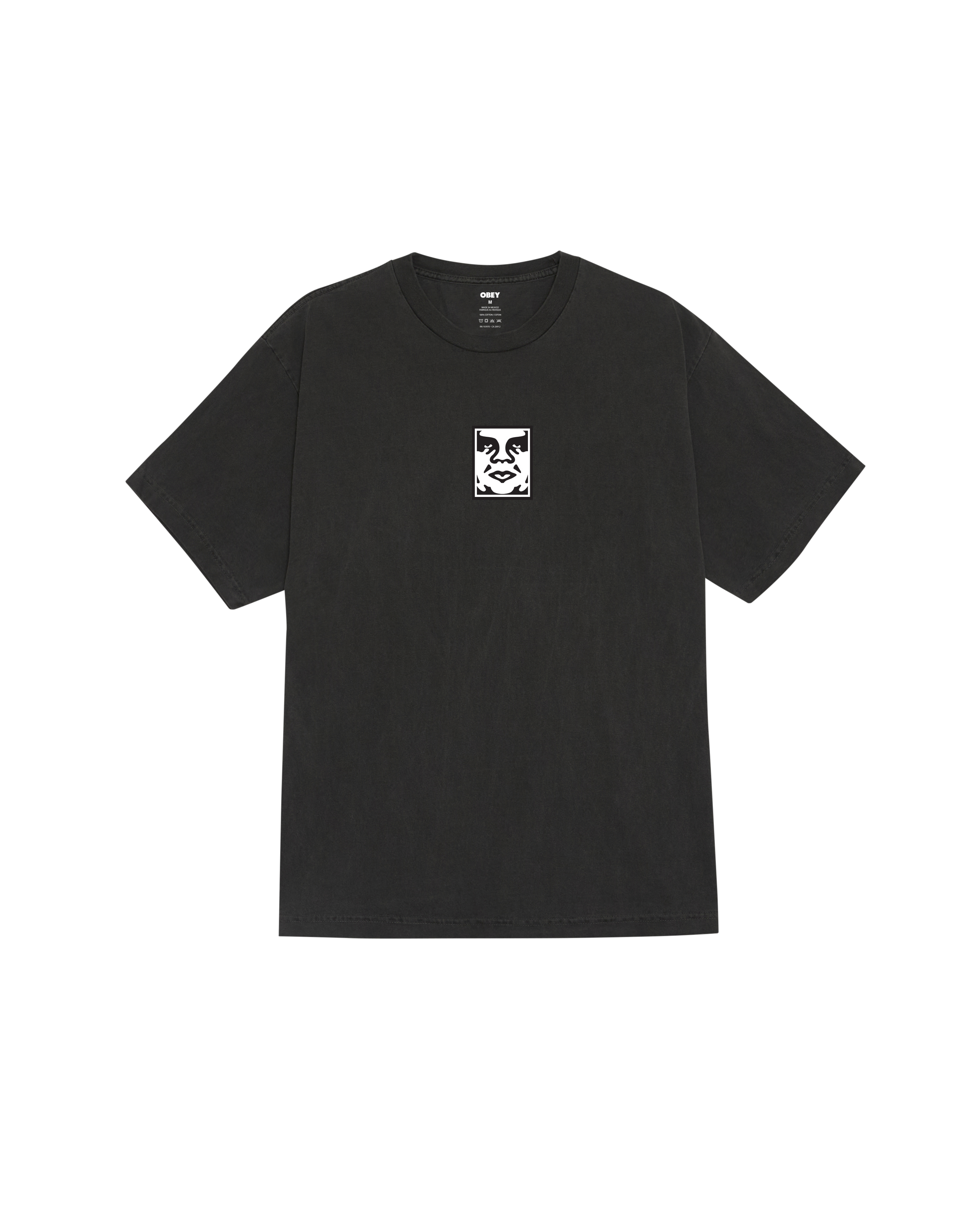 ICON FACE PIGMENT T-SHIRT - PIGMENT DUSTY BLACK
