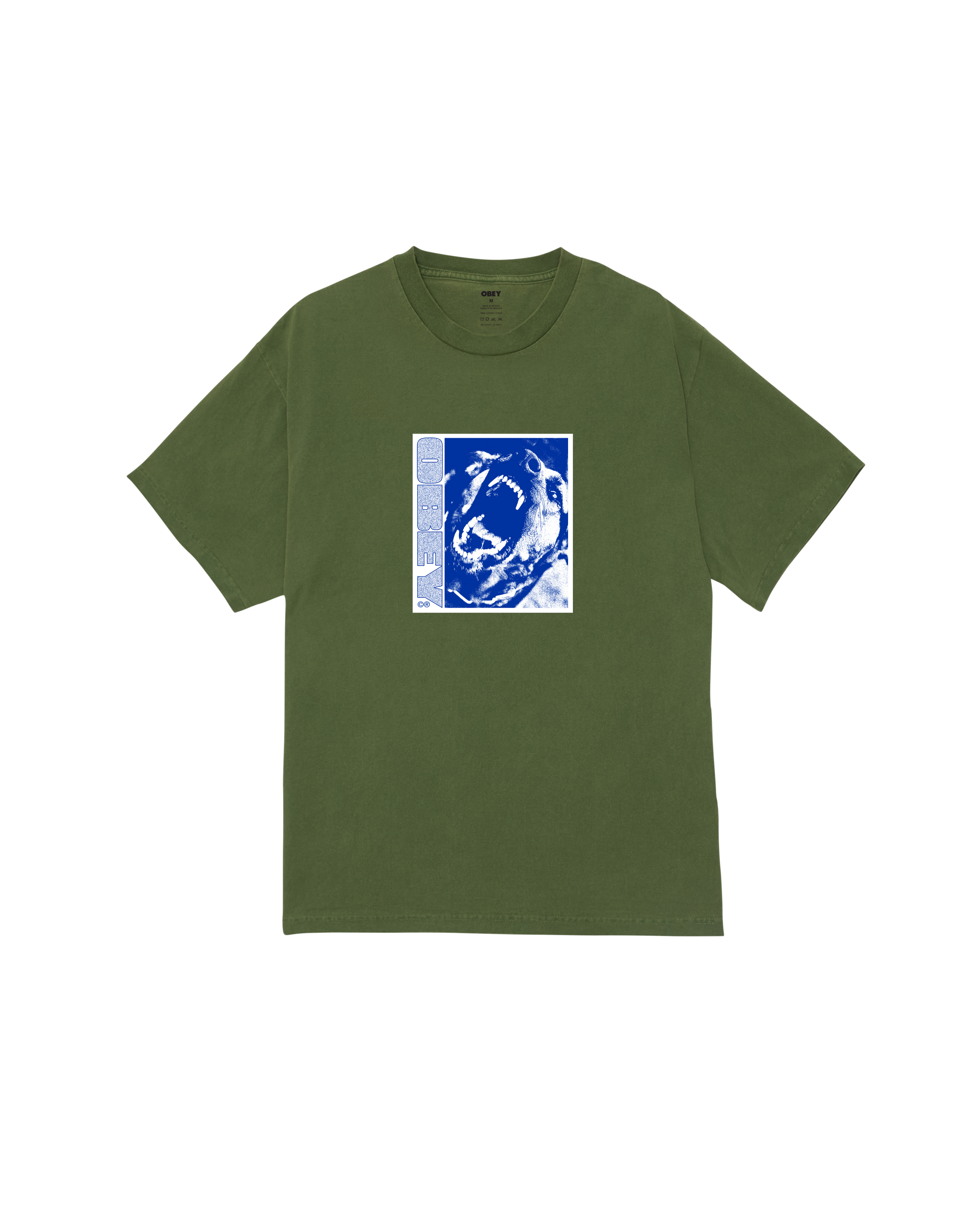 OBEY STAY BACK - PIGMENT BRONZE GREEN