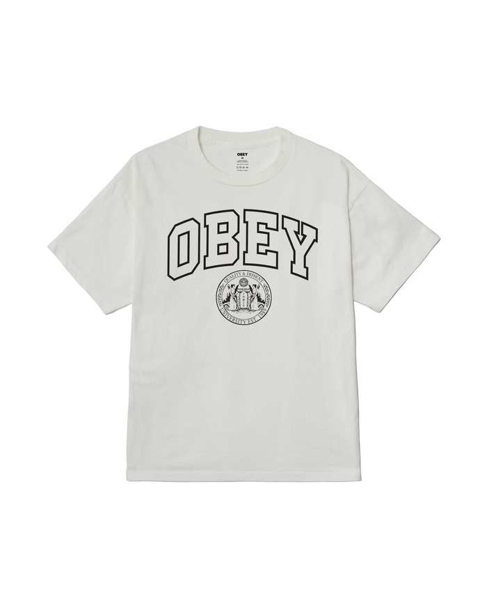 UNIVERSITY PIGMENT T-SHIRT - PIGMENT VINTAGE WHITE