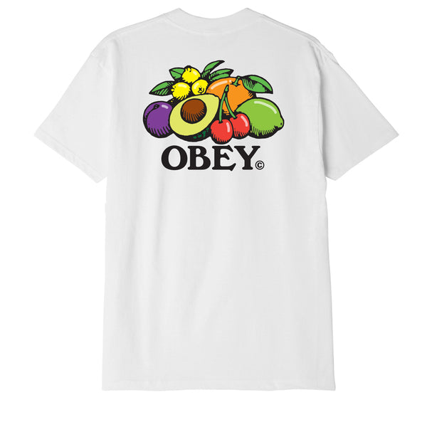 BOWL OF FRUIT CLASSIC T-SHIRT | OBEY Clothing