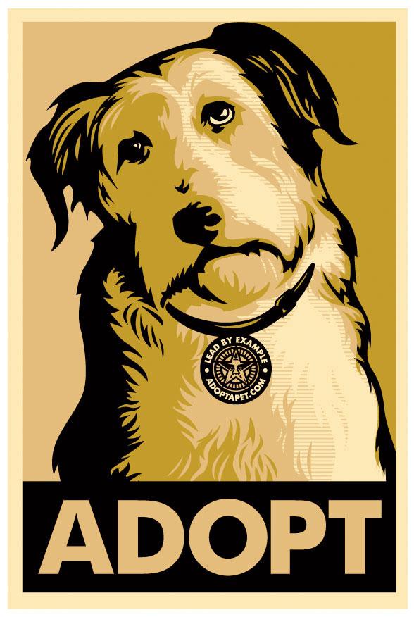 adoptapet.com x obey awareness