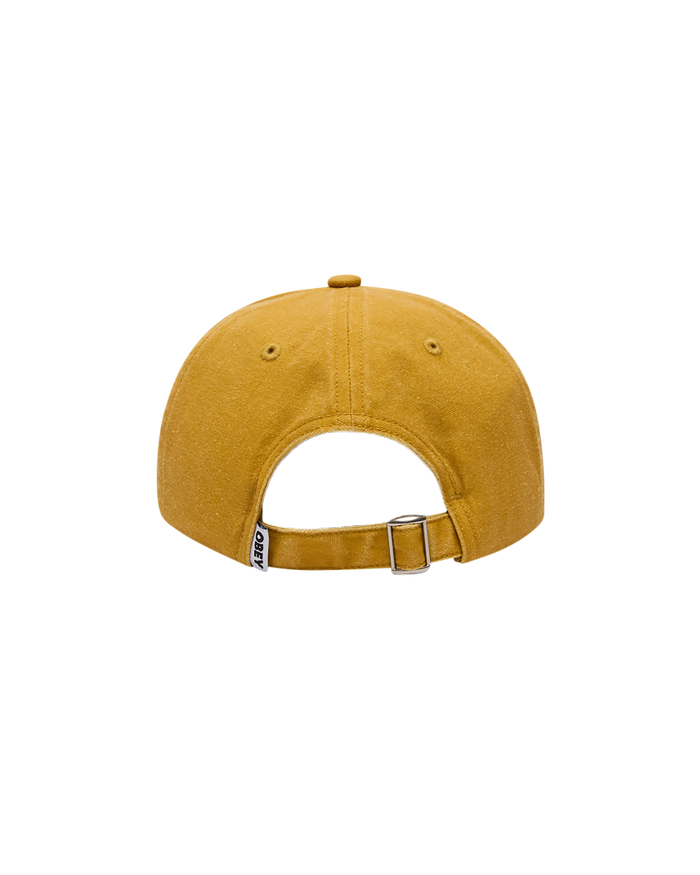 FARMS PIGMENT STRAPBACK