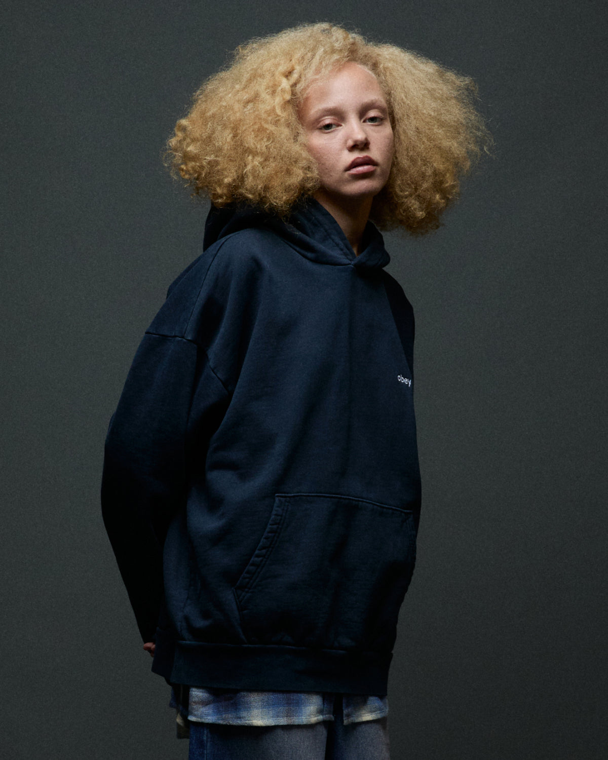 ESTABLISHED WORKS BOLD ZIP HOOD II - PIGMENT BLUE