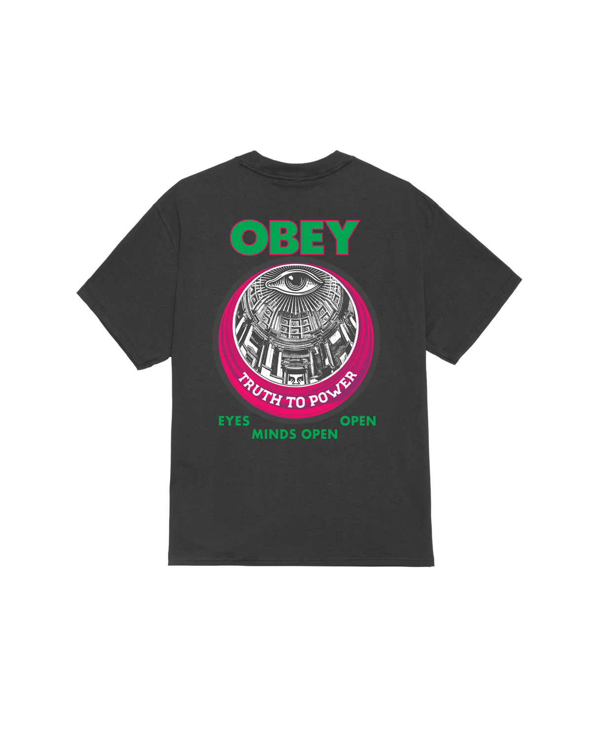 TRUTH TO POWER CLASSIC T-SHIRT - VINTAGE BLACK