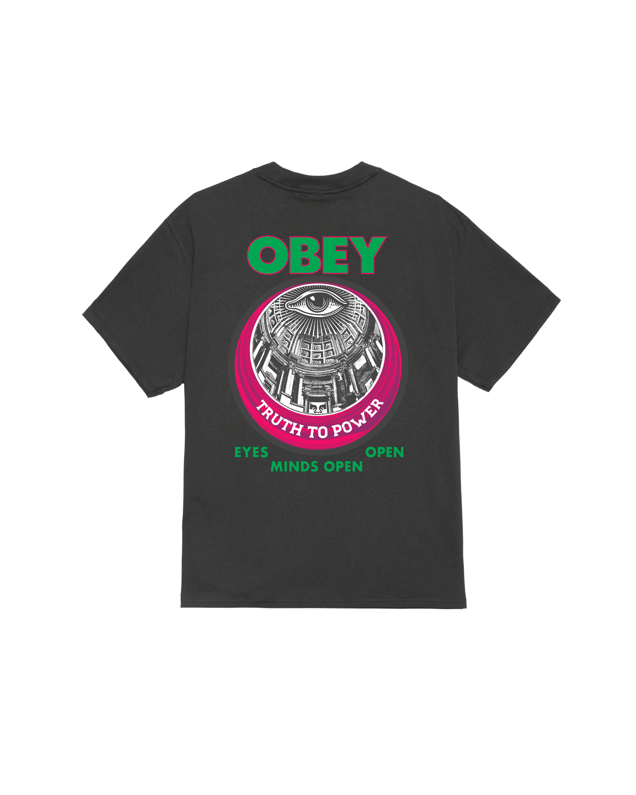 TRUTH TO POWER CLASSIC T-SHIRT - VINTAGE BLACK