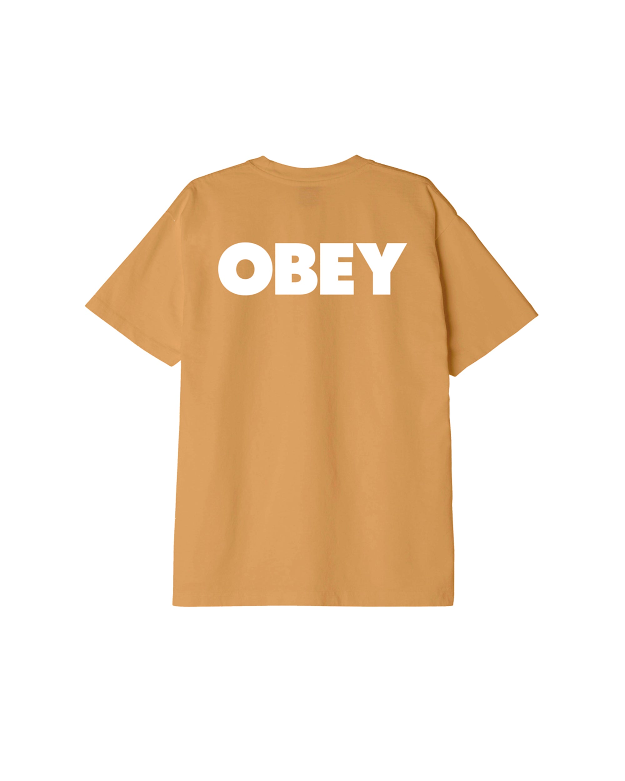 OBEY BOLD 3