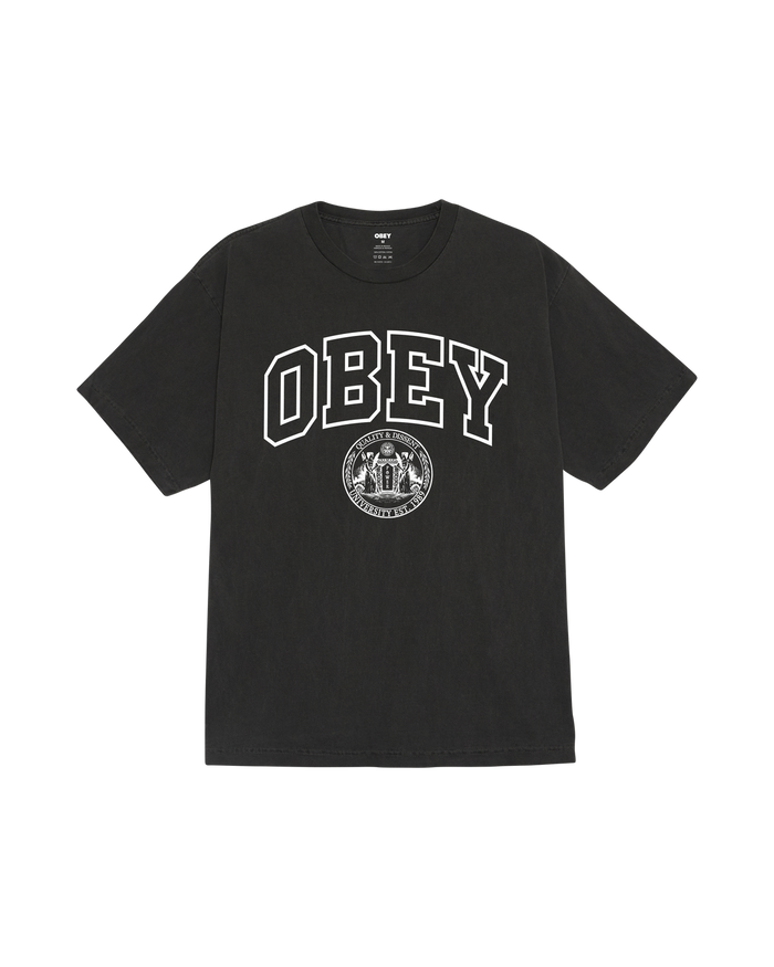 UNIVERSITY PIGMENT T-SHIRT - PIGMENT DUSTY BLACK