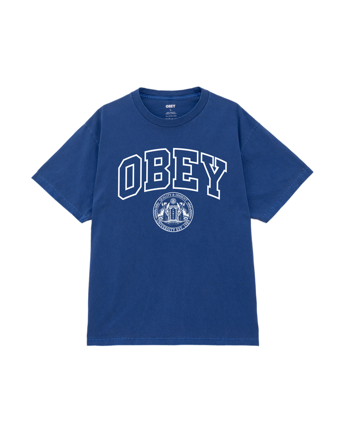 UNIVERSITY PIGMENT T-SHIRT - PIGMENT ELECTRIC INDIGO