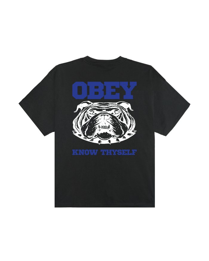 KNOW THYSELF HEAVYWEIGHT T-SHIRT - VINTAGE BLACK