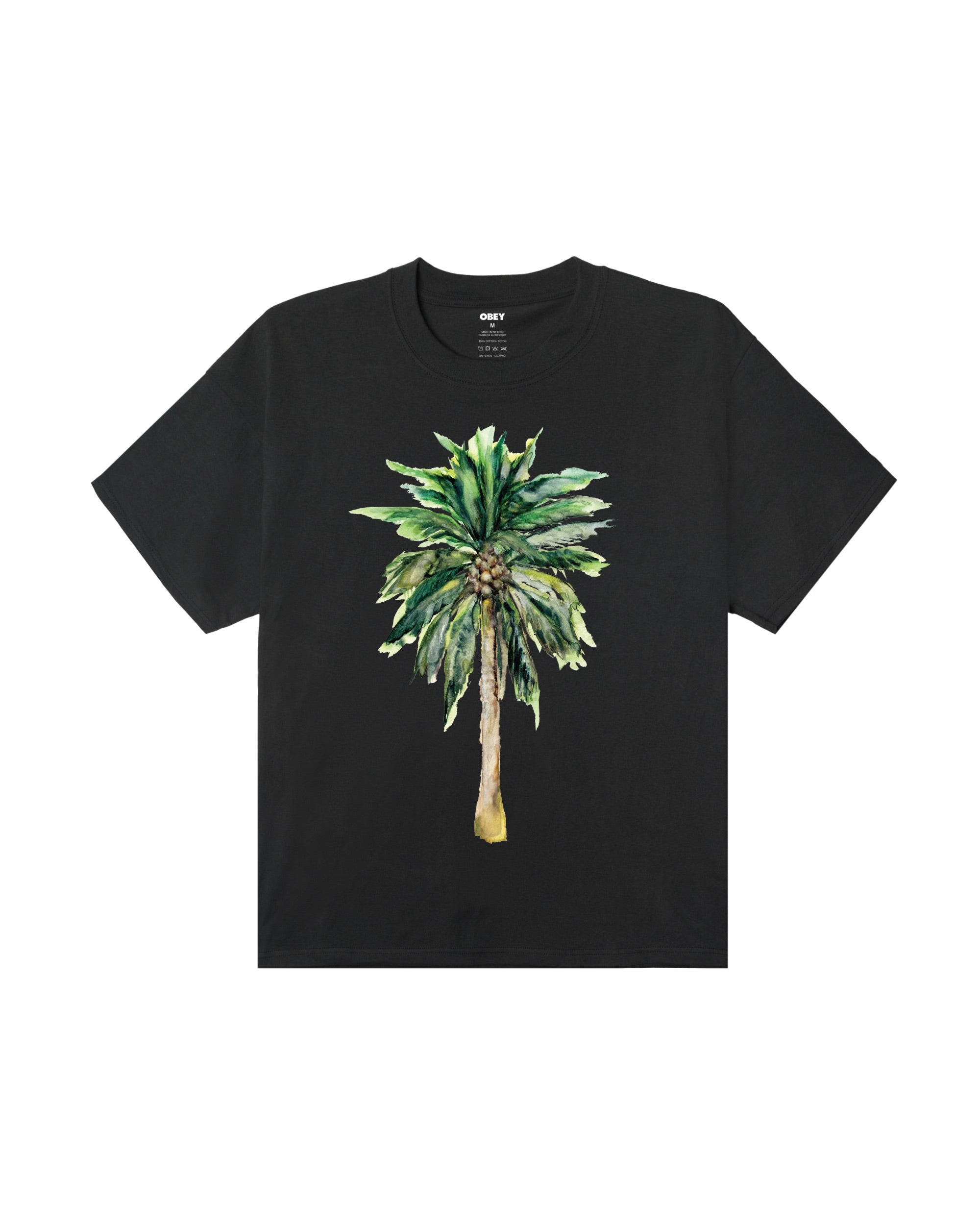 PALM HEAVYWEIGHT T-SHIRT - VINTAGE BLACK